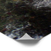 Waldlichter im Schnee #32 Poster (Ecke)