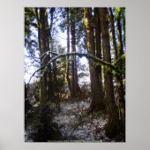 Waldlichter im Schnee #32 Poster (Vorne)