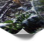 Waldlichter im Schnee #68 Poster (Ecke)
