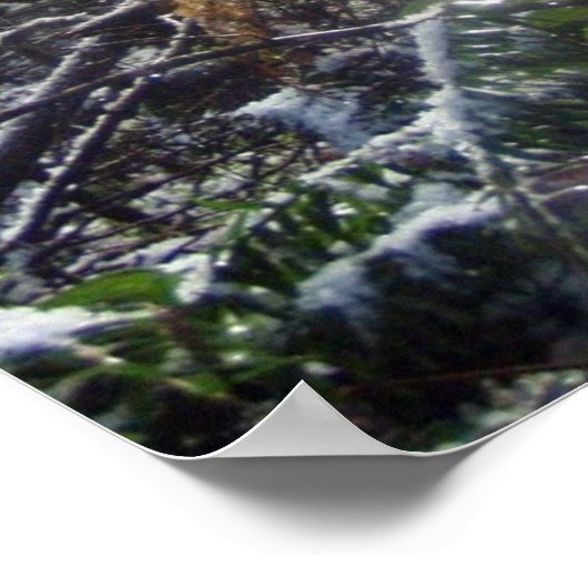 Waldlichter im Schnee #68 Poster (Ecke)