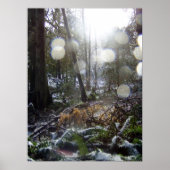 Waldlichter im Schnee #68 Poster (Vorne)