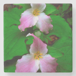 Waldlilie Trillium Steinuntersetzer