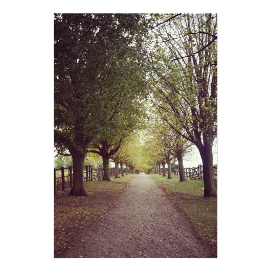 Waldlinie Fotodruck (Vorne)