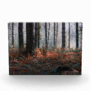 Waldmagie Fotoblock