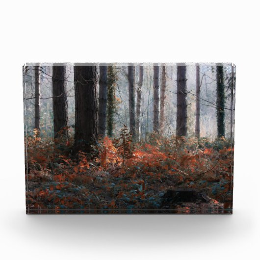 Waldmagie Fotoblock (Vorderseite)