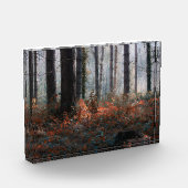 Waldmagie Fotoblock (Links)