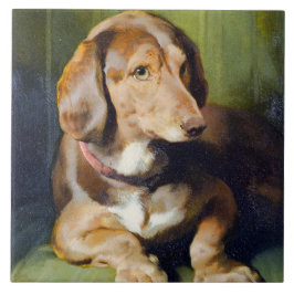 Waldmann Wunderschönes Bild des Niedlichen Hundes  Fliese