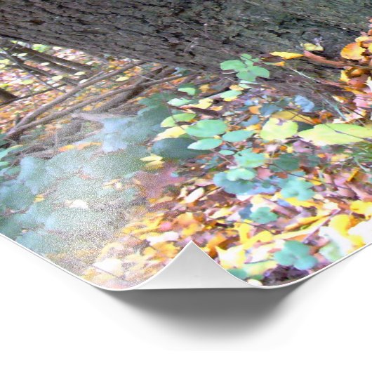 Waldmärchen Fotodruck (Ecke)