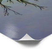 Waldmärchenvibes Poster (Ecke)