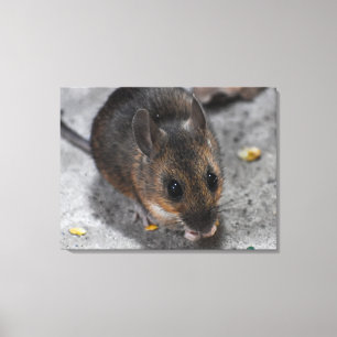 Waldmaus leinwanddruck