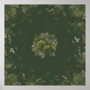 Waldmoos- und Flechten-Botanik-Mandala-Poster Poster