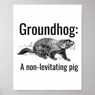 Waldmurmeltier Ein Nicht-Schwebendes Schwein Lusti Poster