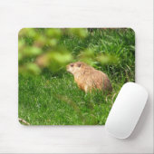 Waldmurmeltier ~ mousepad (Mit Mouse)