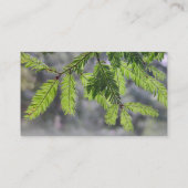 Waldnadeln Visitenkarte (Rückseite)