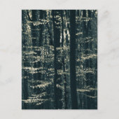 Waldnatur-Foto Feiertagspostkarte (Vorderseite)
