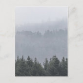 Waldnatur-Foto Postkarte (Vorderseite)