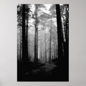 Waldnebel 10 poster (Vorne)