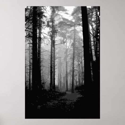 Waldnebel 10 poster (Vorne)