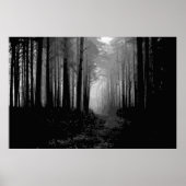 Waldnebel 9 poster (Vorne)