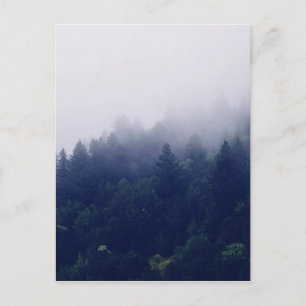 Waldnebel Postkarte
