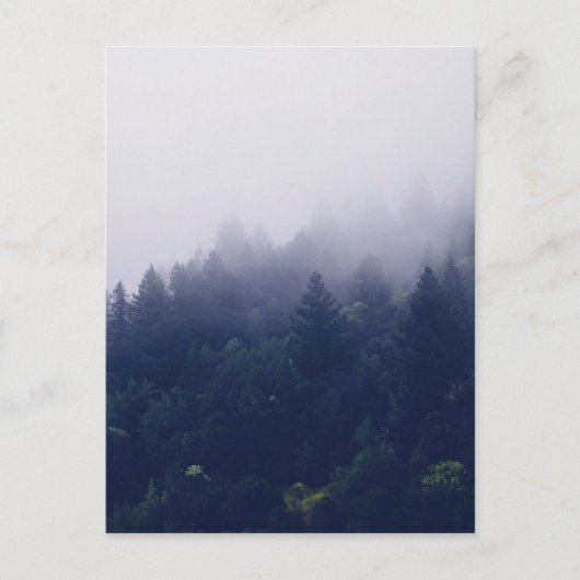 Waldnebel Postkarte (Vorderseite)