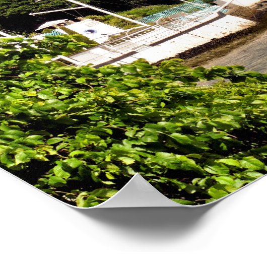 WALDORTE POSTER (Ecke)