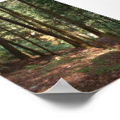 Waldparadies Poster (Ecke)