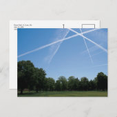 Waldpark Postkarte (Vorne/Hinten)