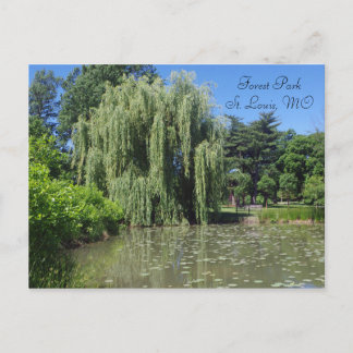 Waldpark weinend Willow am Teich Postkarte