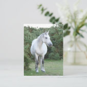 Waldpest Postkarte (Stehend Vorderseite)