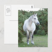 Waldpest Postkarte (Vorne/Hinten)