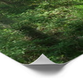 Waldpfad in teilweisem Sonnenlicht Foto Poster Art (Ecke)