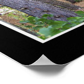 Waldpfadplakat Poster (Ecke)