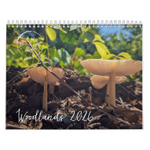 Waldpfeiler - Naturkalender 2026