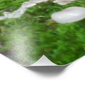 Waldpilz Fotodruck (Ecke)