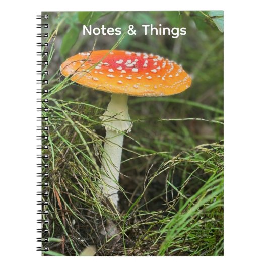 Waldpilz Notizbuch Notizblock (Vorderseite)