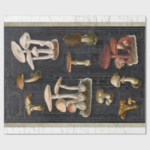 Waldpilze Hütte Ephemera Geschenkpapier