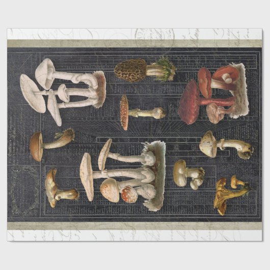 Waldpilze Hütte Ephemera Geschenkpapier (Flach)