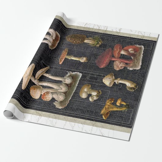 Waldpilze Hütte Ephemera Geschenkpapier (Ungerollt)