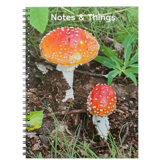 Waldpilze Notizbuch Notizblock (Vorderseite)