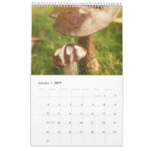 Waldpilzkalender Kalender (Jan 2027)