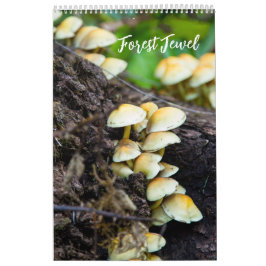 Waldpilzkalender Kalender