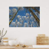 Waldposter, gefroren poster (Küche)