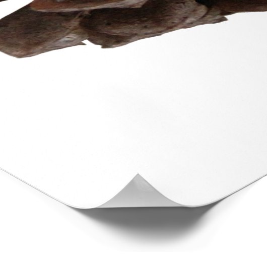 Waldposter Poster (Ecke)