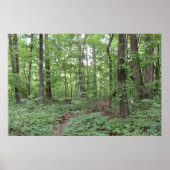 Waldposter Poster (Vorne)