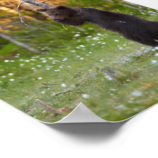 Waldposter Poster (Ecke)