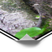 Waldposter Poster (Ecke)