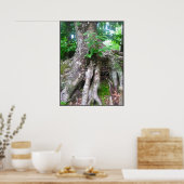 Waldposter Poster (Küche)