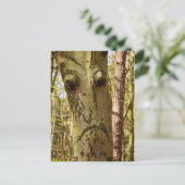 Waldpostkarte Postkarte (Stehend Vorderseite)