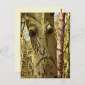 Waldpostkarte Postkarte (Vorne/Hinten)